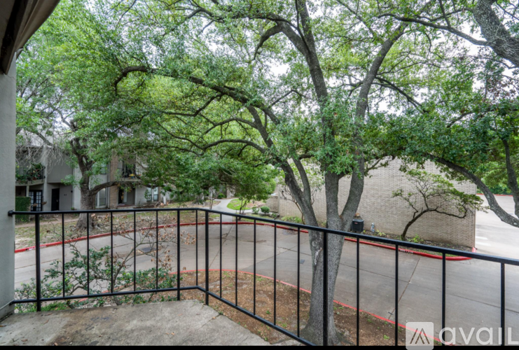 A tree with green leaves is in front of a building.