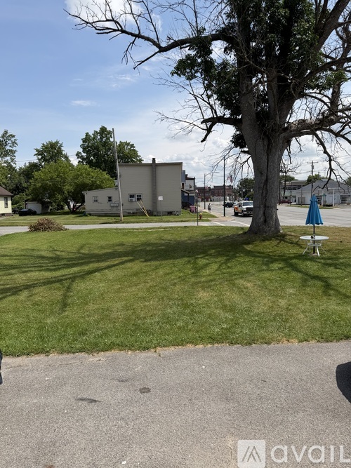 A tree in a grassy area with a building in the background.
