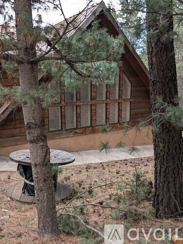 18 Silver Fox Trail 2 Beds Single Family Home for Rent - Photo gallery 3