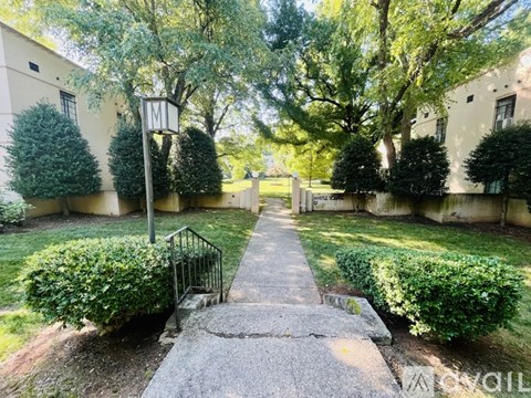 1121 Myrtle Avenue 1 Apartment for Rent