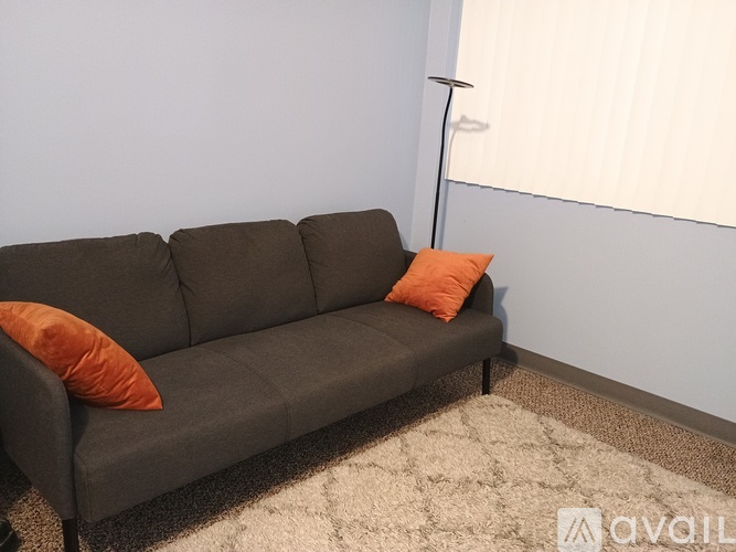 A grey couch with two orange pillows sits in a room with a white rug.