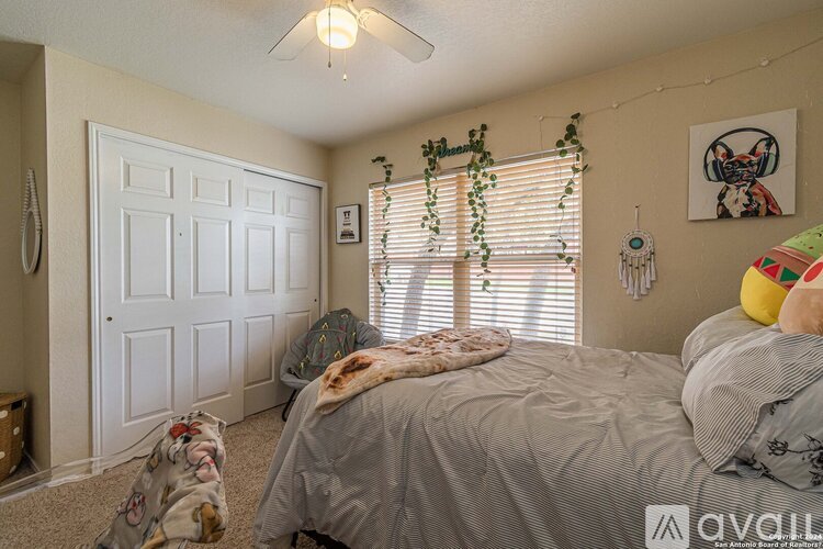 A bedroom with a bed, a ceiling fan, and a window with blinds.