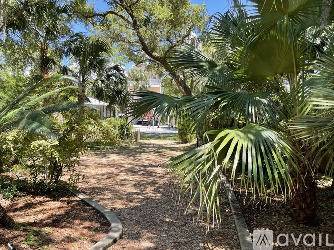 A garden with a path and trees.