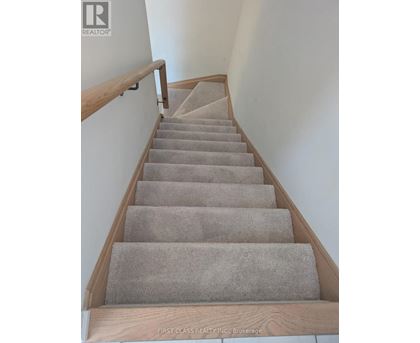 A staircase with beige carpeted steps and wooden handrails.