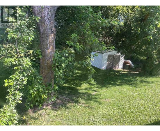 A tree is in front of a shed.