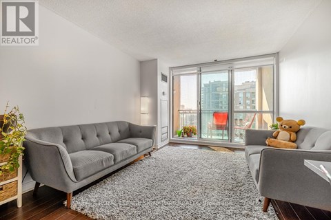A grey sofa with a teddy bear on it in a room with a grey rug.
