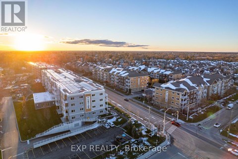B409 - 258 COLEMAN STREET 1 Apartment for Rent