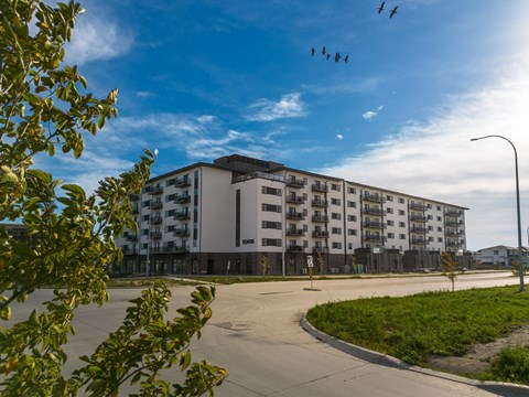 1530 Warde (Residential) 1-3 Beds Apartment for Rent
