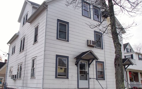 A white house with black windows and a tree in front.