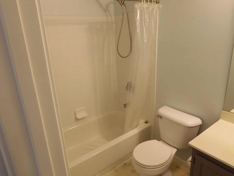 3025 Wolf Creek Way 4 Beds Apartment for Rent