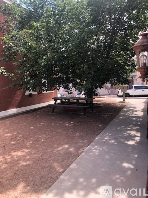 A tree in a courtyard with a bench underneath it.