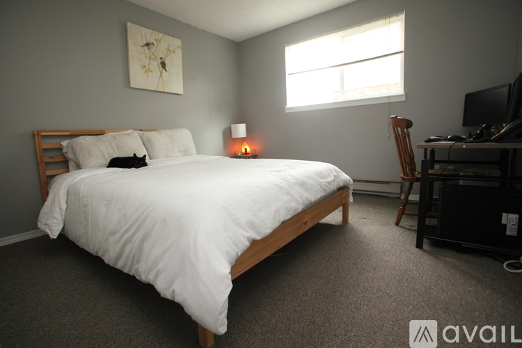 A bedroom with a bed, desk, and chair.