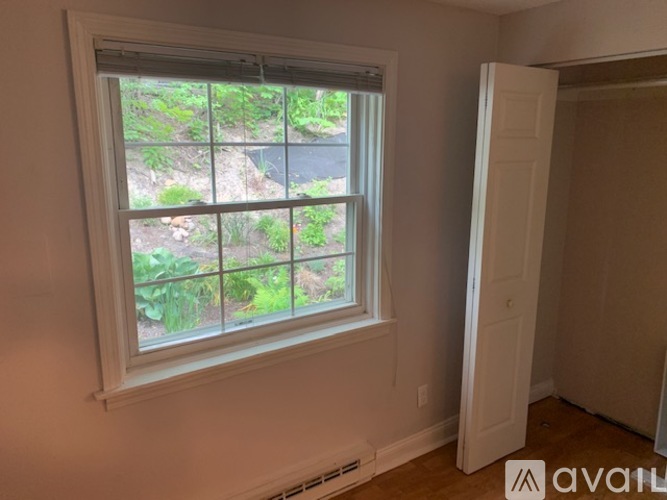 A window with a view of a garden outside.