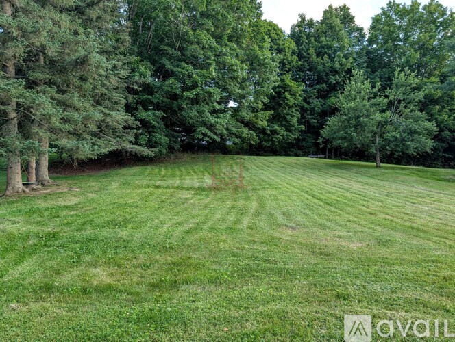 A grassy field with trees in the background.