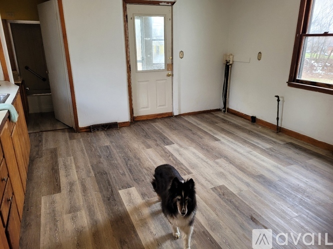 A dog is standing in a room with wooden flooring and a white door.