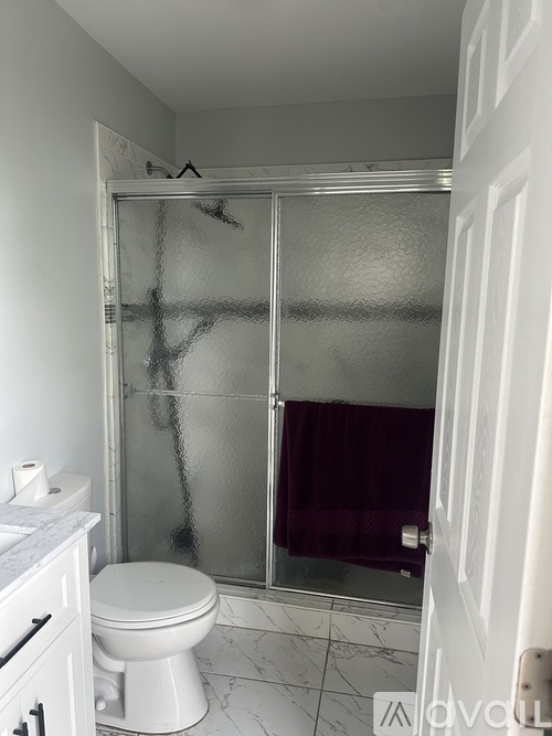 A white toilet sits next to a walk-in shower.