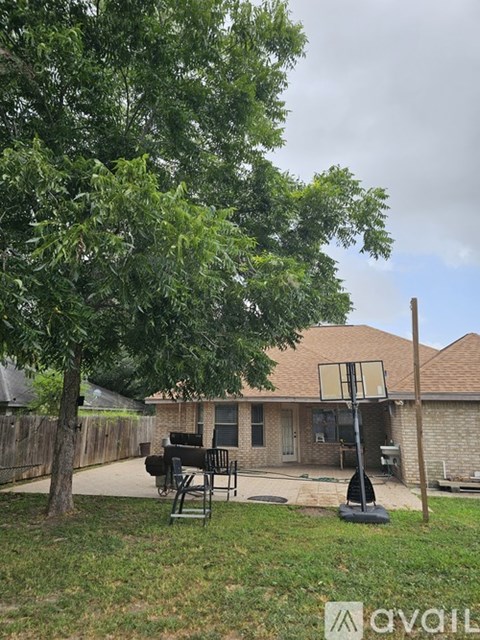 A tree is in front of a house with a basketball hoop.