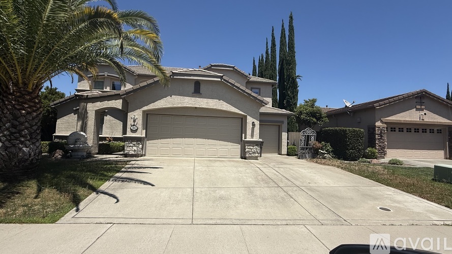 A house with a driveway and a palm tree in front.