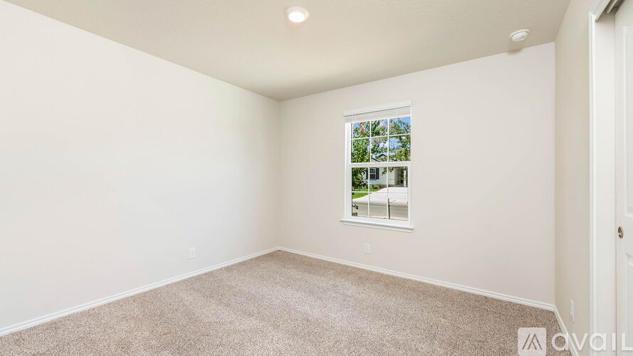 A room with a window showing a view of trees and a car.