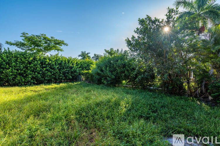 A lush green field with trees and a clear blue sky.