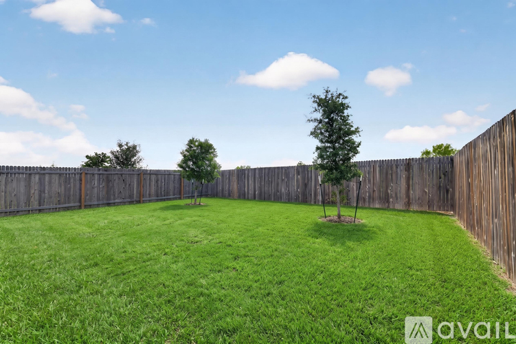A backyard with a wooden fence and two trees.