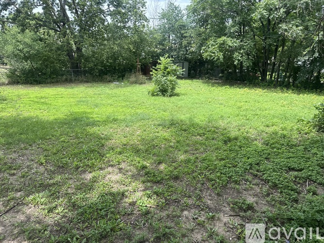 A grassy field with trees in the background and a small tree in the middle of the field.