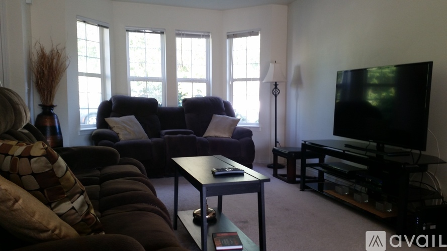 A living room with a brown couch and a television.