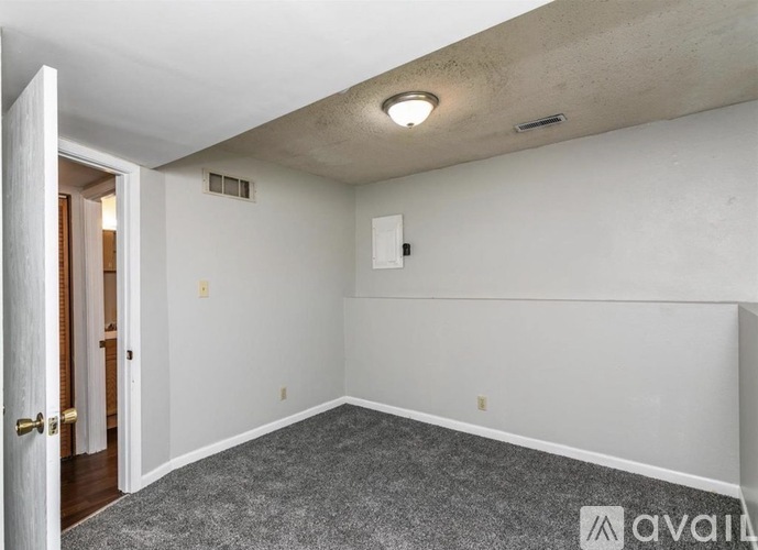 A room with a carpeted floor and a ceiling light.