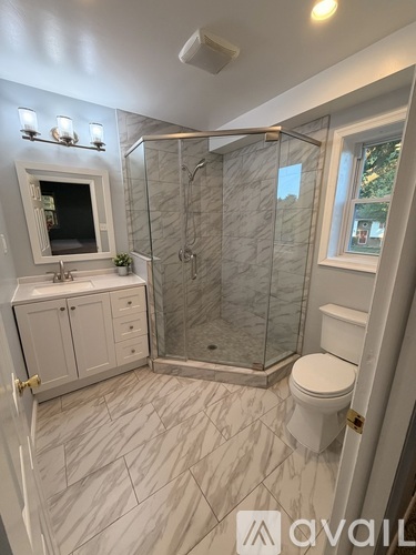 A bathroom with a walk-in shower and a toilet.