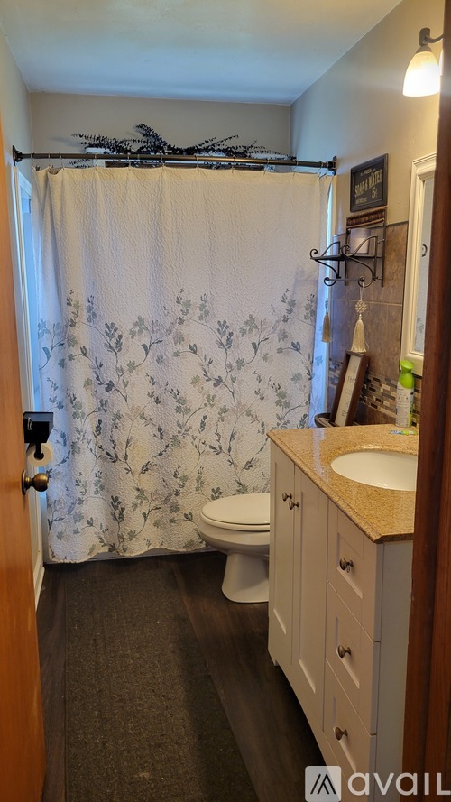 A bathroom with a shower curtain and a toilet.