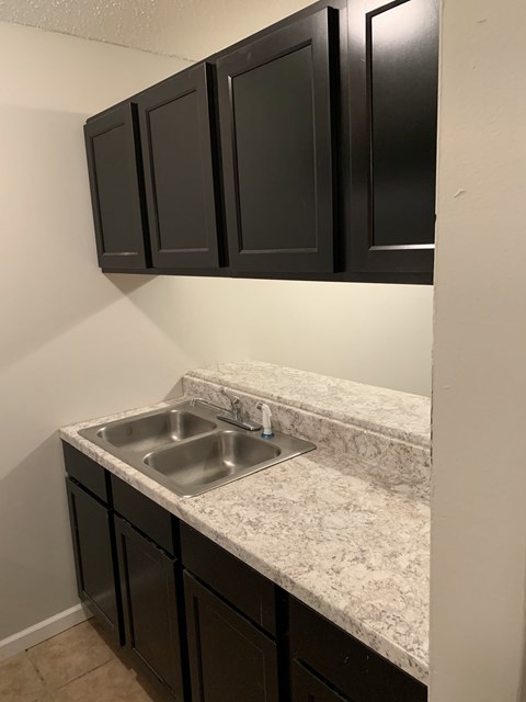 A kitchen with a sink and cabinets.
