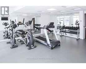 A gym with treadmills and elliptical machines.