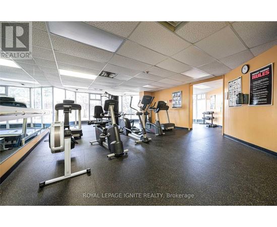 A gym with a variety of equipment including treadmills, weights and exercise machines.
