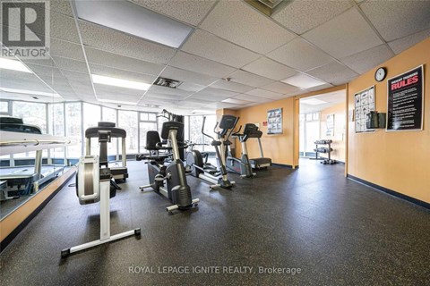 A gym with a variety of equipment including treadmills, weights and exercise machines.