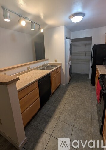 A kitchen with a black fridge and a white counter top.