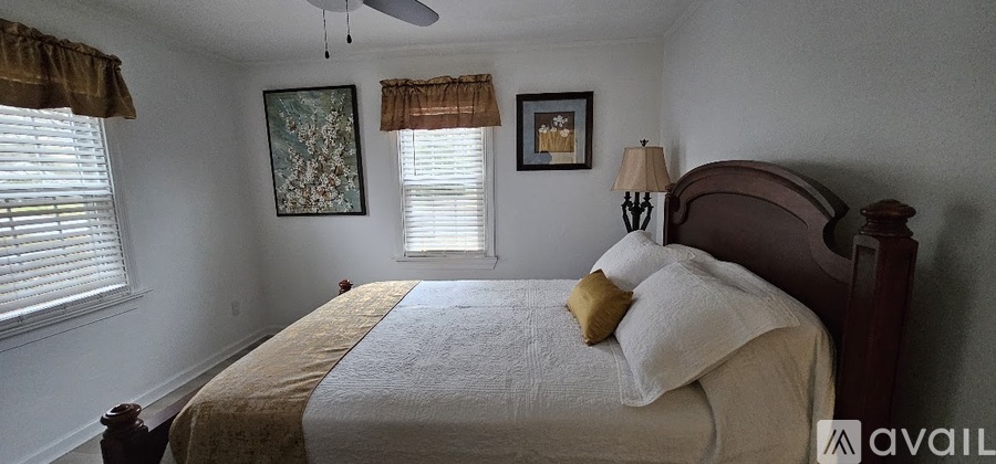 1203 Wilkins Drive 3 Beds Single Family Home for Rent - Photo gallery 4