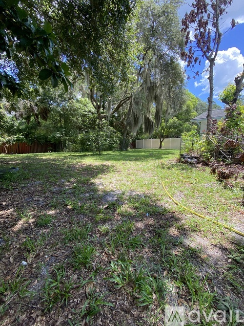 A backyard with a dirt path and trees.