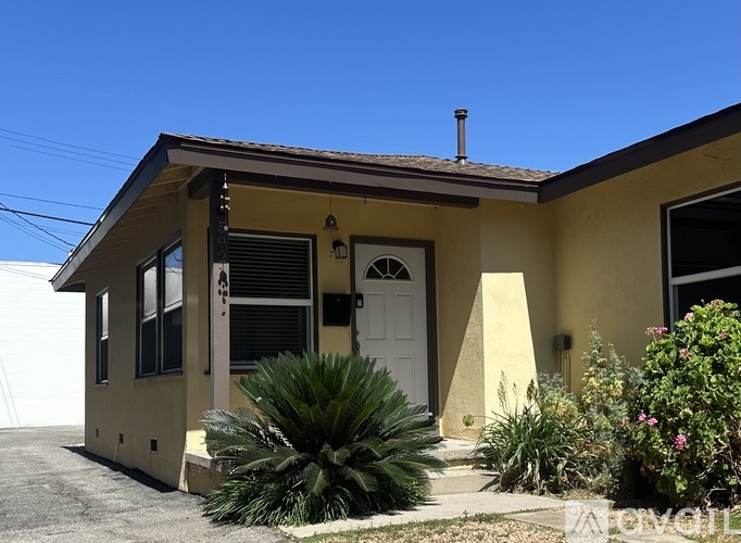 A yellow house with a white door and a palm tree in front.
