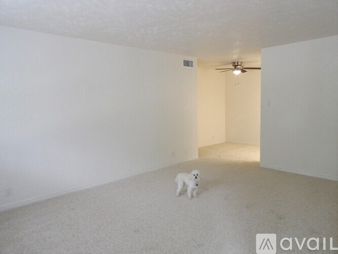A dog is standing in a white room with a ceiling fan.