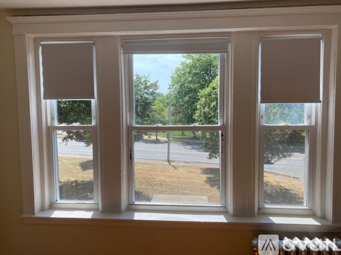 A window with a view of a street and trees.