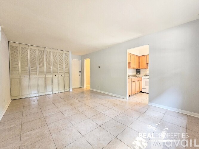 A spacious room with a kitchenette and a walk-in closet.