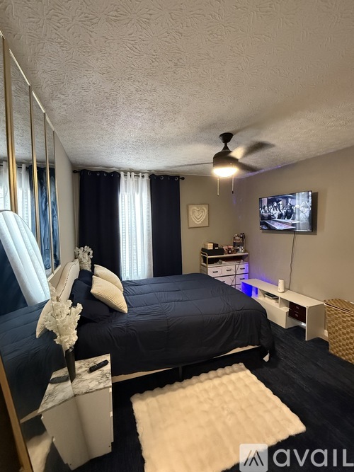 A bedroom with a bed, a TV, and a ceiling fan.