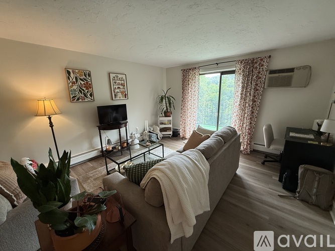 A living room with a couch, a coffee table, a TV, and a plant.