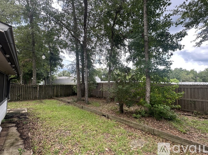 A backyard with a wooden fence and trees.