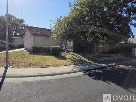 A sunny day in a residential area with a house and a tree.