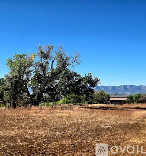 A field with dry grass and a large tree in the background.