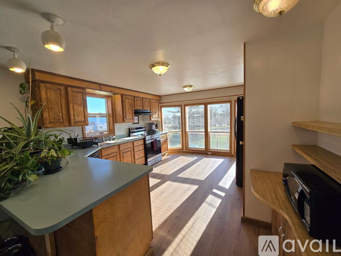 A kitchen with wooden cabinets and a large island with a plant on it.