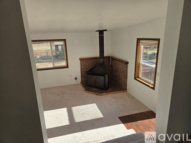 A living room with a fireplace and two windows.
