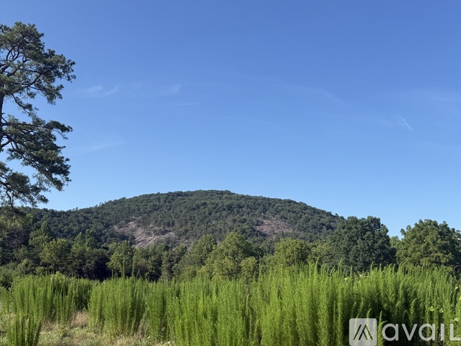 3848 Rocky Face Church Road 3 Beds Single Family Home for Rent - Photo gallery 2