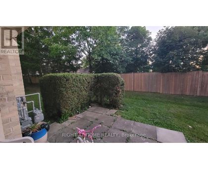 A backyard with a wooden fence and a green lawn.